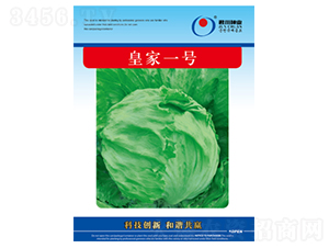 �ʼ�һ̖-���˷N��-�����N�I(y��)