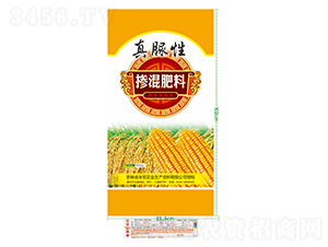 �������-������-��ʢ�μ�