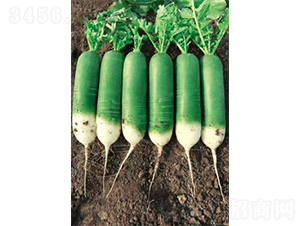 �����sҫ-�}���N��-�����N�I(y��)