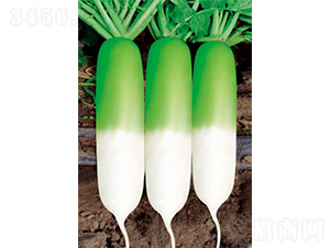 �������S-�}���N��-�����N�I(y��)