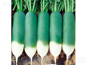 �������_-�}���N��-�����N�I(y��)