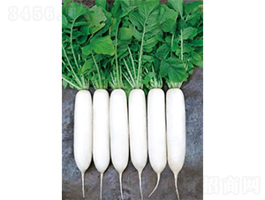 ����2̖(h��o)-�}���N��-�����N�I(y��)