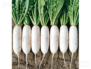 �������ď�(qi��ng)-�}���N��-�����N�I(y��)