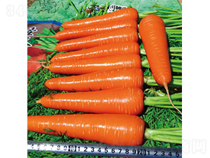 ʥ��2̖-���}���N��-�����N�I(y��)