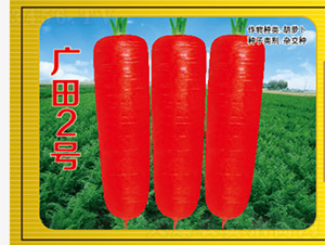 �V��2̖-���}���N��-�����N�I(y��)