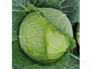 �����þG-���{�N��-�����N�I(y��)