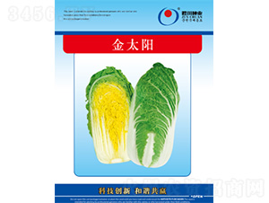 ��̫�-���޲˷N��-�����N�I(y��)