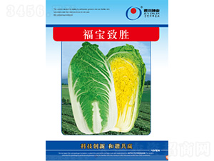 ������-���޲˷N��-�����N�I(y��)