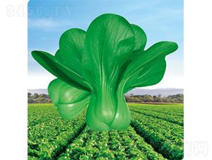 ��������-��˷N��-�����N�I(y��)