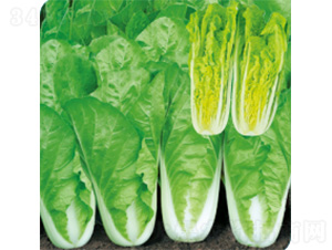 ��������-��˷N��-�����N�I(y��)