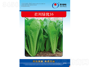 �����G��(y��u)16-��˷N��-�����N�I(y��)