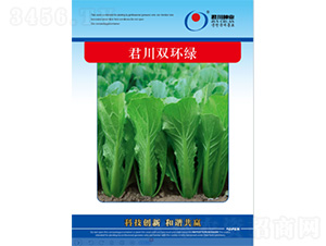 �����p�h(hu��n)�G-��˷N��-�����N�I(y��)