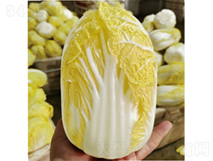 �����S��-�ײ˷N��-�����N�I(y��)