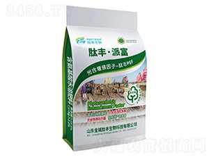 ��������ˮ�ܷ���-���S���ɸ�-������S