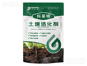 ʿ�����-���R��-��٤�z