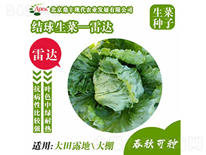 ���_-���˷N��-���S�r(n��ng)�I(y��)