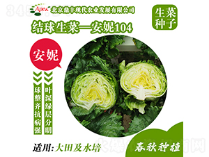 ����104-���˷N��-���S�r(n��ng)�I(y��)