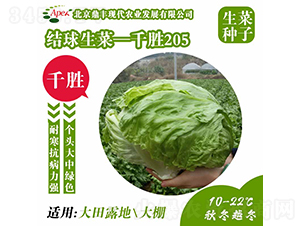 ǧ��205-���˷N��-���S�r(n��ng)�I(y��)