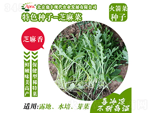 ֥���-����˷N��-���S�r(n��ng)�I(y��)