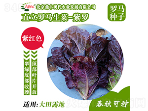 ���_-���˷N��-���S�r(n��ng)�I(y��)