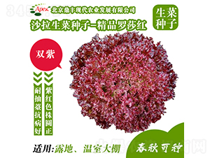 ��Ʒ�_ɯ�t-���˷N��-���S�r(n��ng)�I(y��)