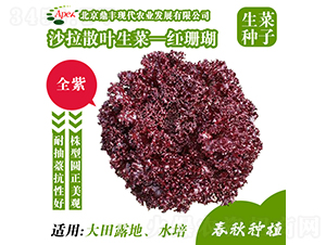 �tɺ��-���˷N��-���S�r(n��ng)�I(y��)