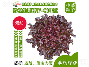 ���~�t-���˷N��-���S�r(n��ng)�I(y��)