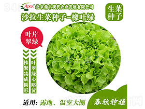 ���~�G-���˷N��-���S�r�I(y��)