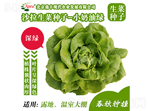 小奶油綠-生菜種子-鼎豐農(nóng)業(yè)