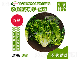 黛麗-生菜種子-鼎豐農(nóng)業(yè)