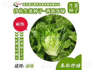 �������G-���˷N��-���S�r�I(y��)