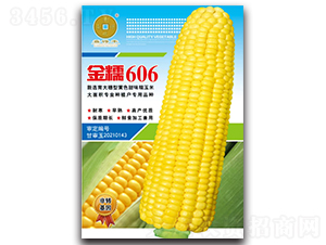 ���SŴ��Ŵ606-���׷N��-�A��N�I(y��)