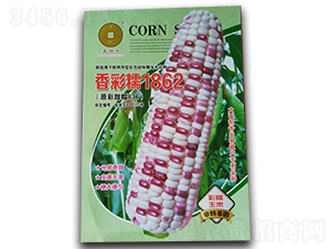 ���Ŵ1862-���׷N��-�A��N�I(y��)