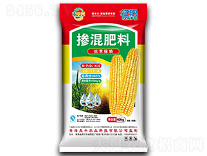 �������20-17-8-����-���S�d