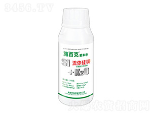 ��¶�����w���-���ט�-����������