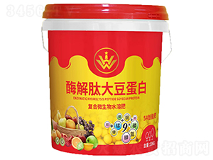 ø���Ĵ󶹵��ף�������(f��)��΢���-�V˼Դ