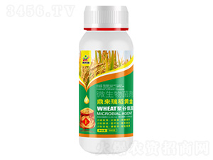 ����(l��i)���S��-΢�������-����(l��i)��