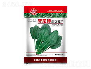 ܎��Ԋ(sh��)�s������-���˷N��-���S�N�I(y��)