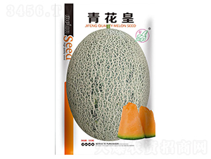 �໨��-��ϷN��-���S�N�I(y��)