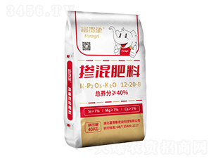 �������12-20-8-���F���r(n��ng)�I(y��)