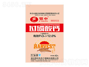 40kg�^�����}-���зʘI(y��)