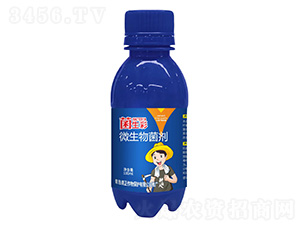 ΢�������-������-����