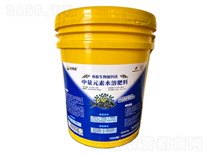 ����Ԫ��ˮ�ܷ���-���X�X-��������