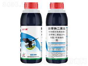 20%���ݿ�����}-��(zh��n)�w��-����(l��i)��