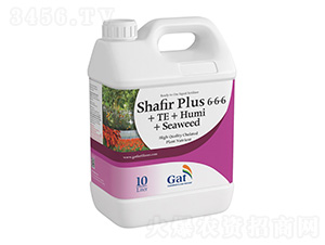 ��ɫ��SHAFIR-PLUSɳ�ʼ�Һ�w����-�����ط�