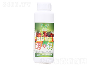 ��+�}-��������-�W��