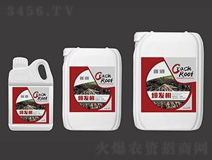 ���l(f��)��-�׵��r(n��ng)�I(y��)