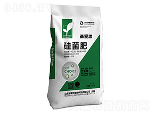 �����-����˼