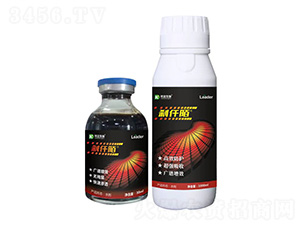 �xǪİ-���_����