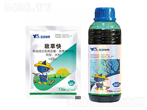 20%���ݿ�-�{(l��n)؈�ǻ�